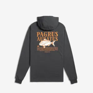 Auratus LW Hood