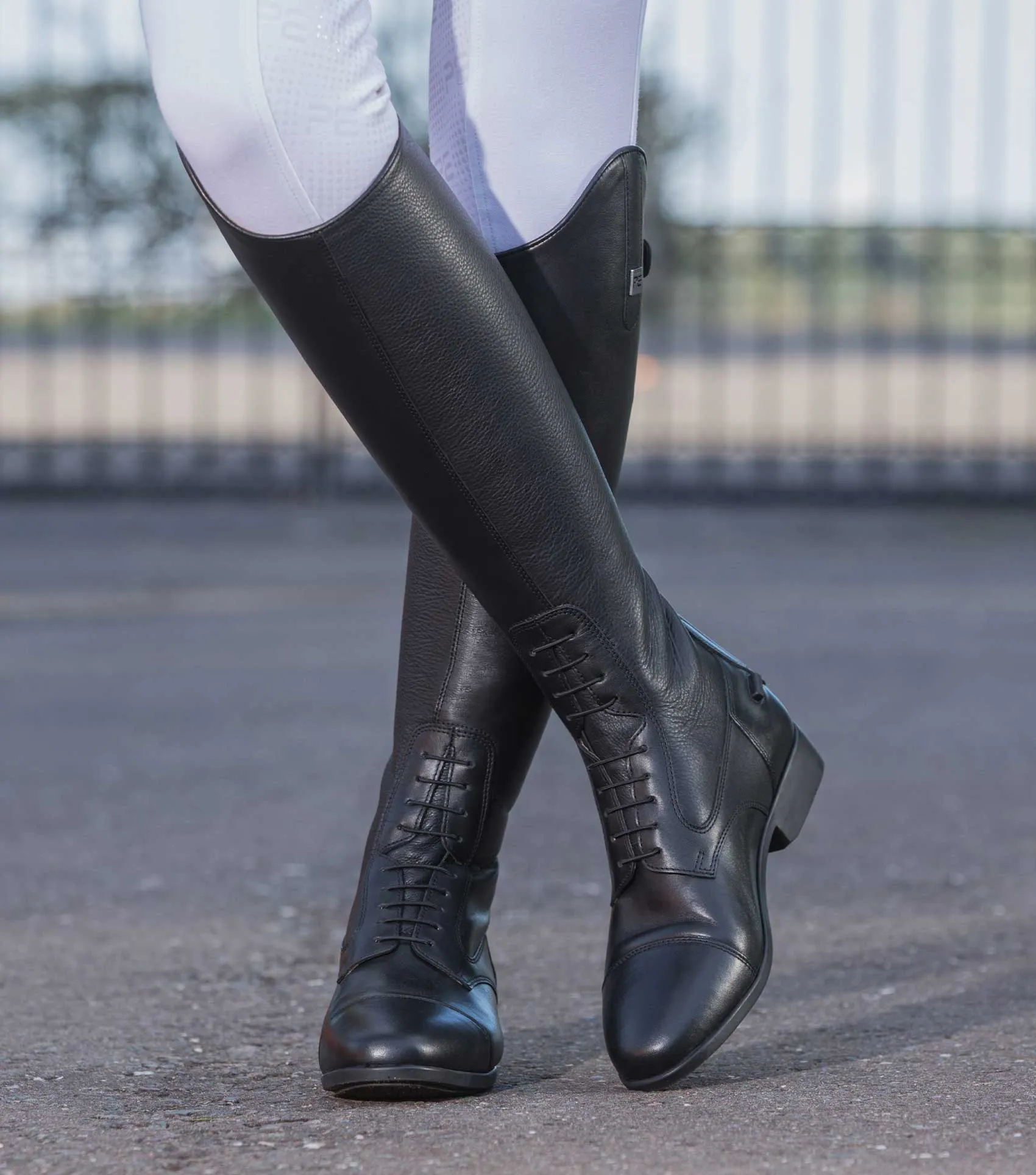 Calanthe Ladies Leather Field Tall Riding Boots Black (Regular Calf)