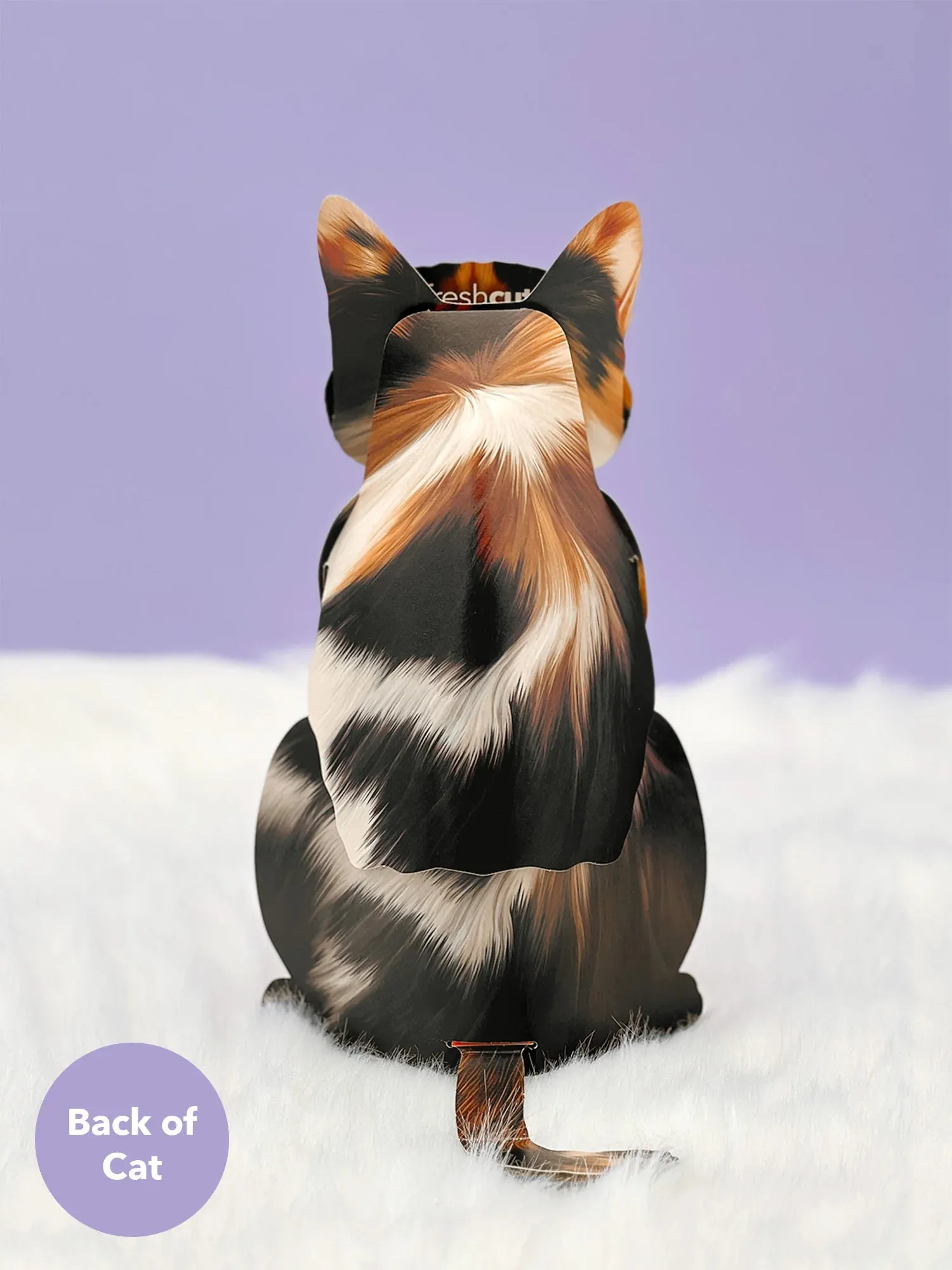 Calico Cat Pop-Up Greeting Card