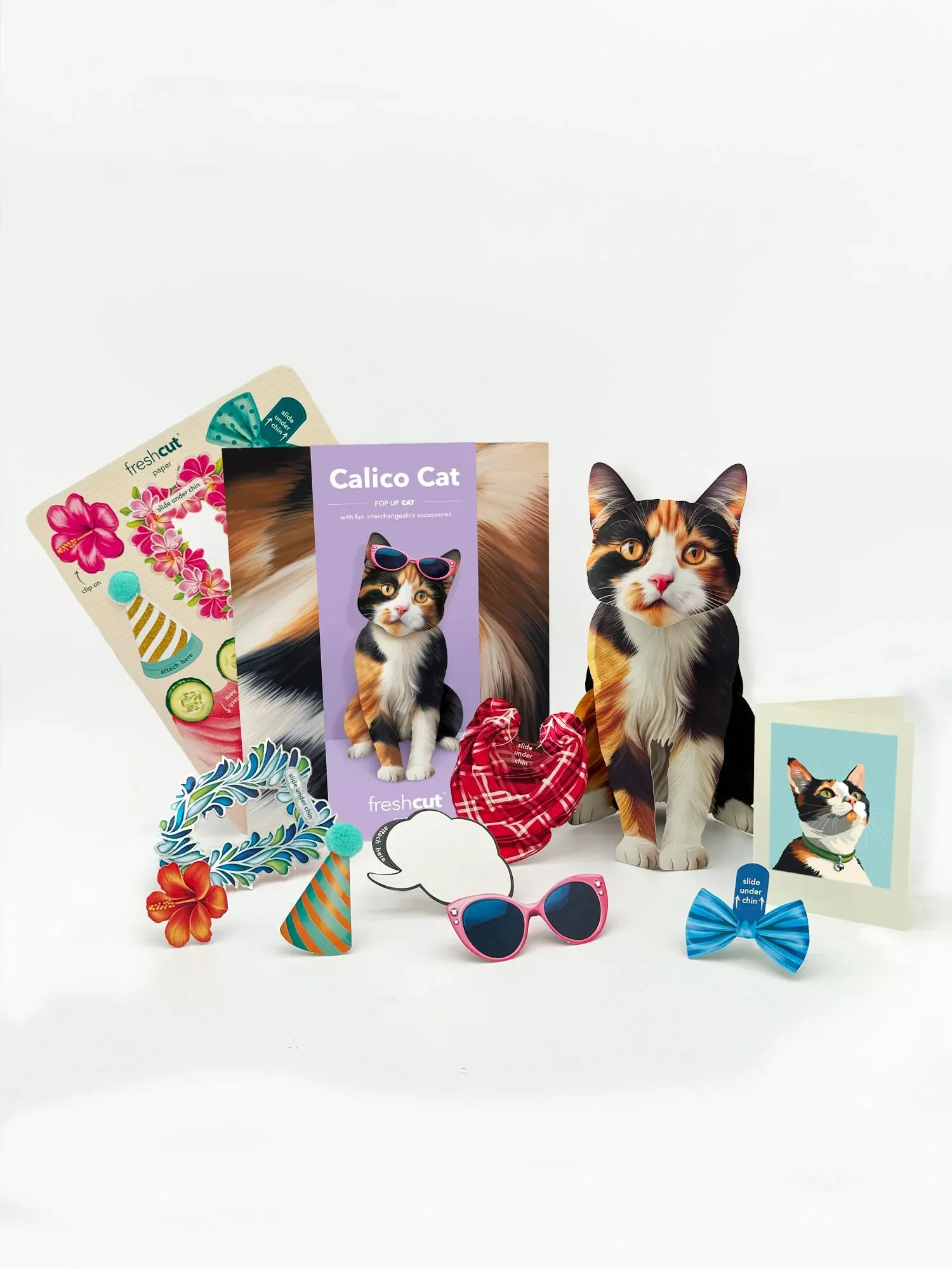 Calico Cat Pop-Up Greeting Card