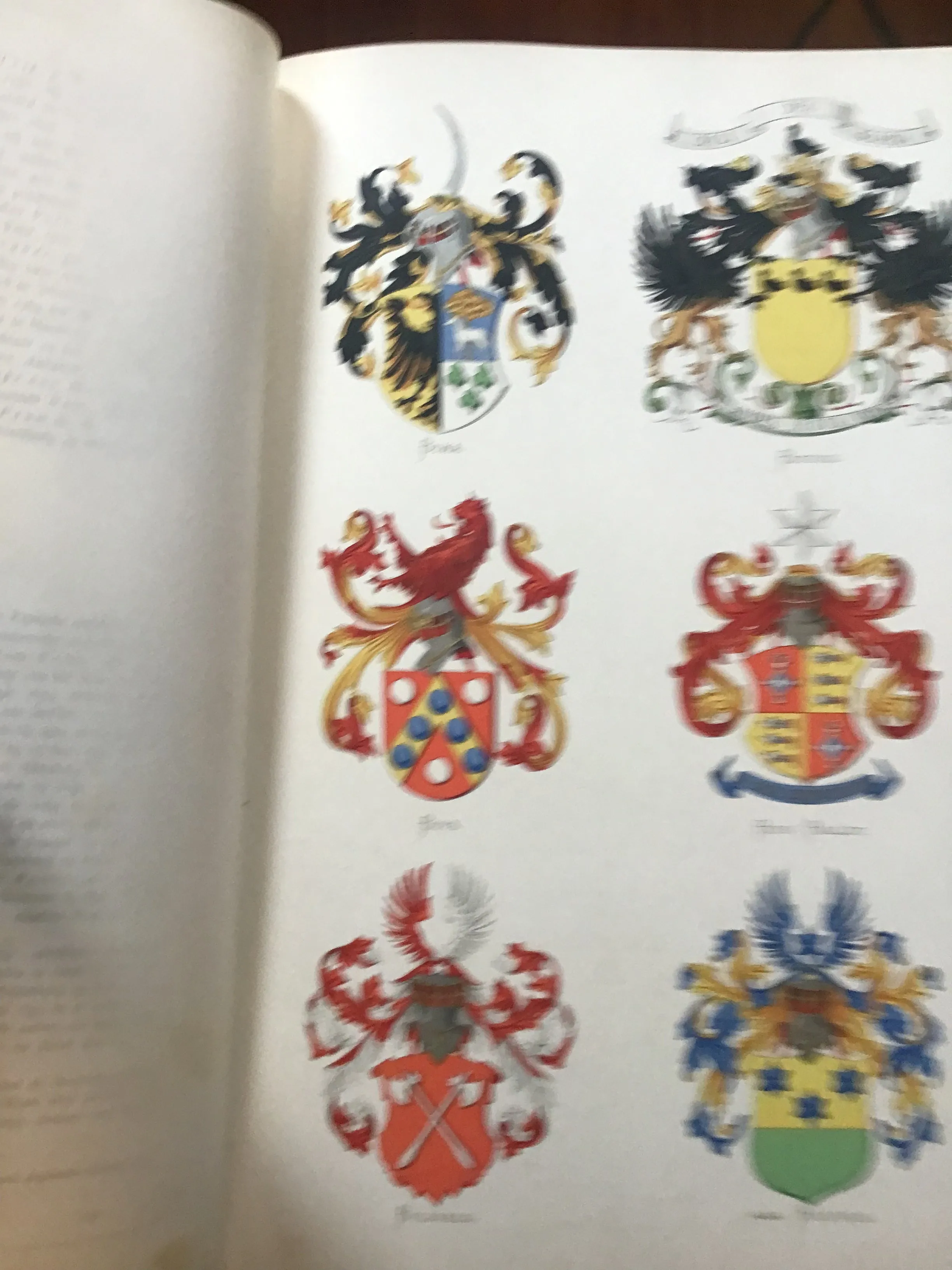 [heraldry] Stam=en Wapenboek van Aanzienlijke Nederlandsche Familiën