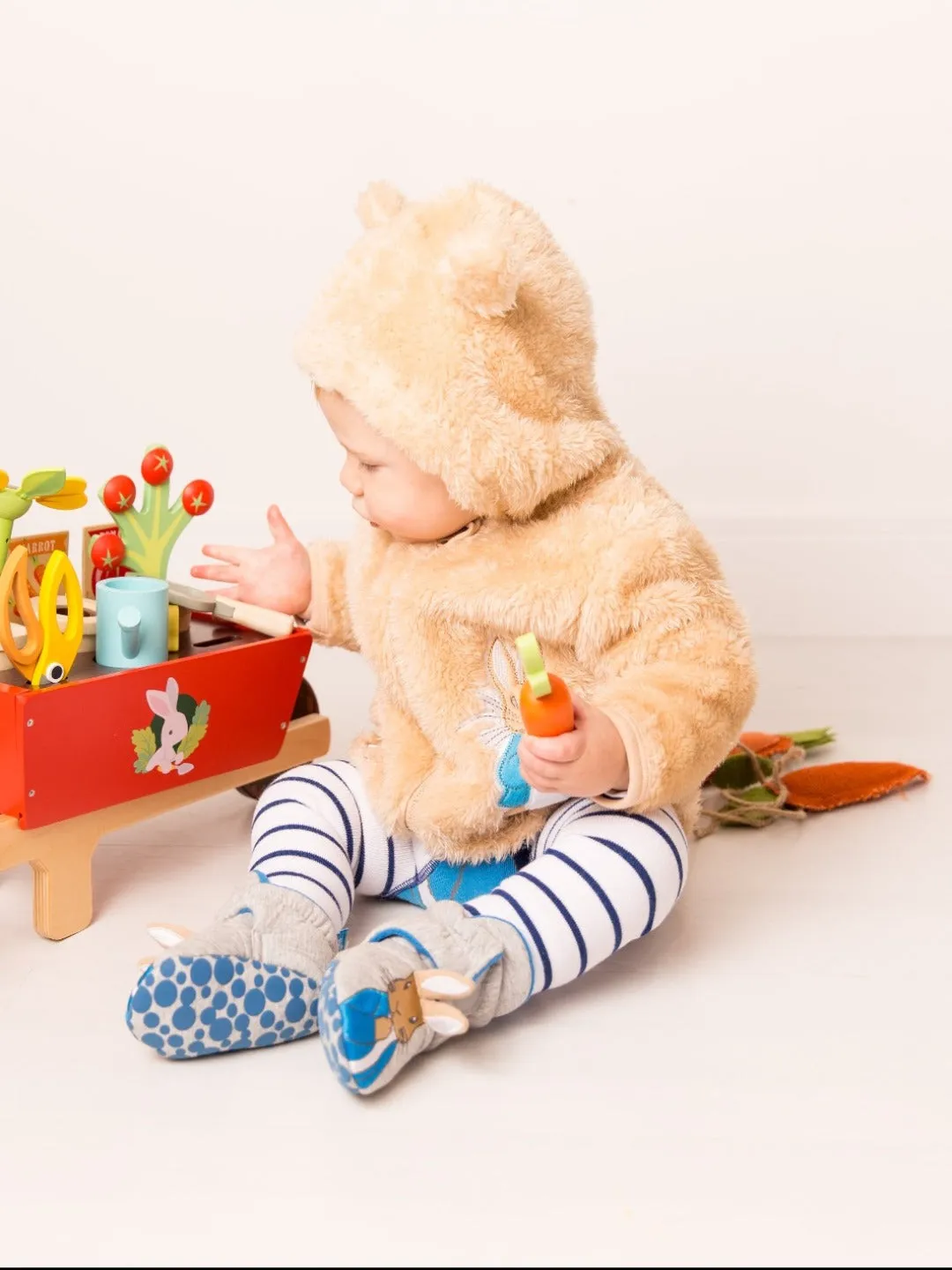 Peter Rabbit Hoodie