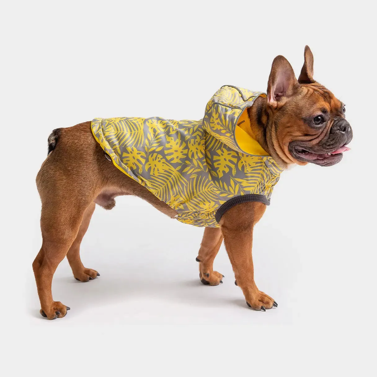 Reversible Dog Raincoat | Yellow Leaves