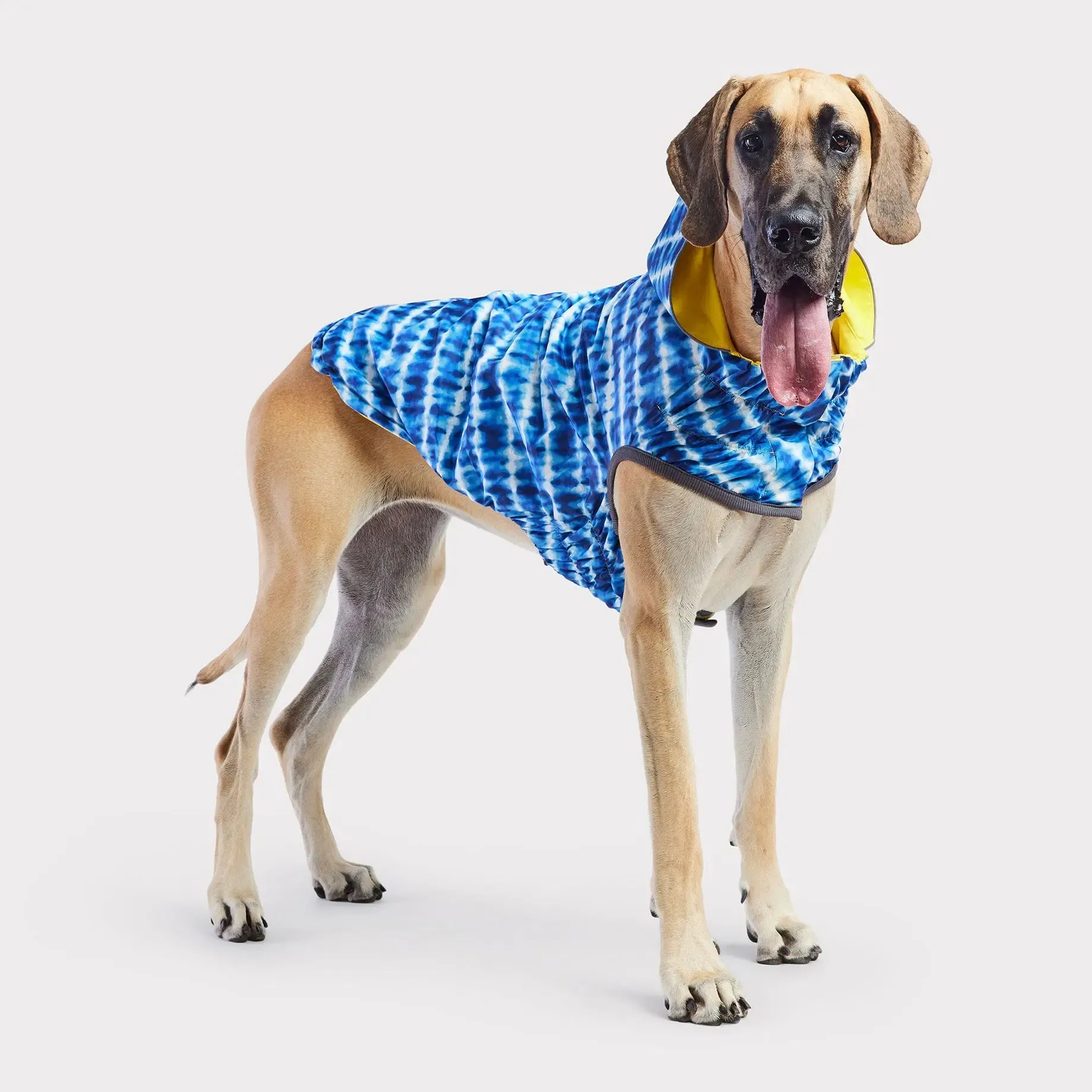 Reversible Dog Raincoat | Yellow Tie-Dye