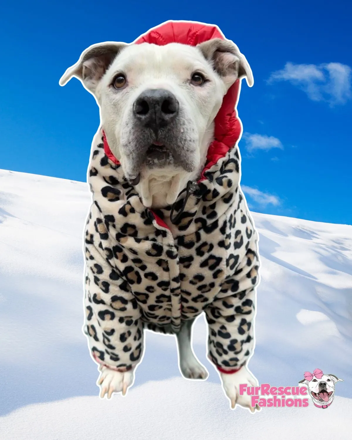 Reversible Naughty Red Riding Hood Skirted Puffer Jacket