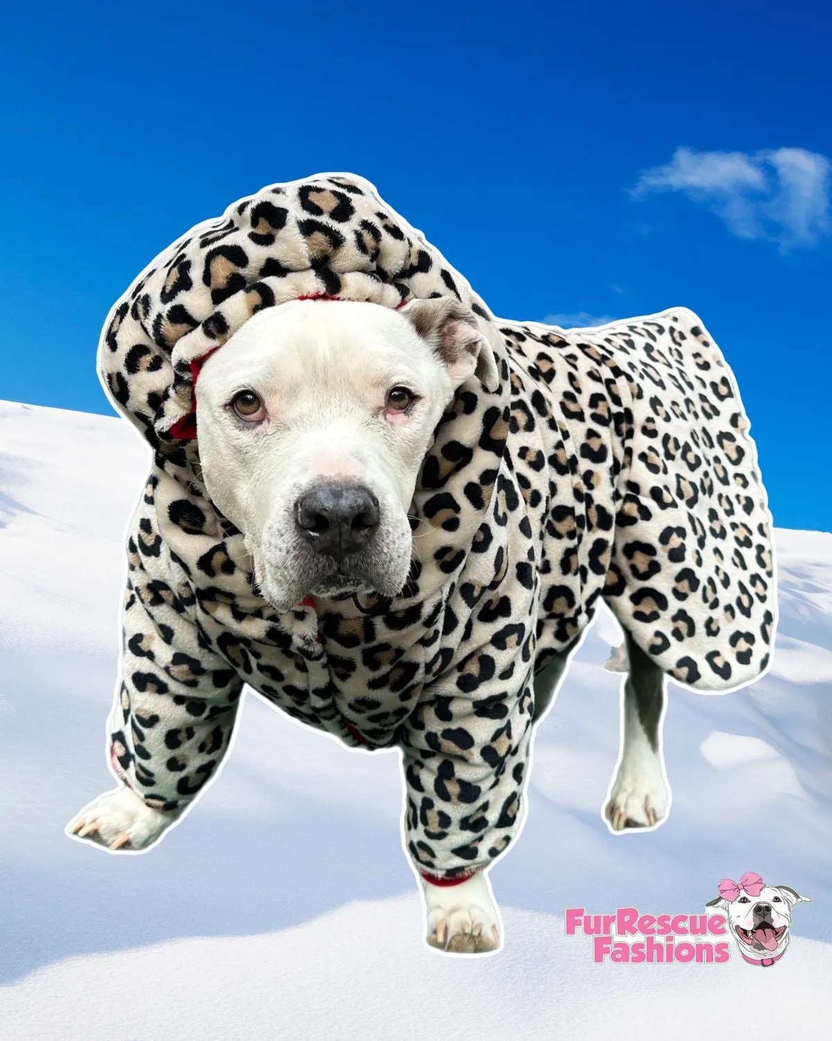 Reversible Naughty Red Riding Hood Skirted Puffer Jacket