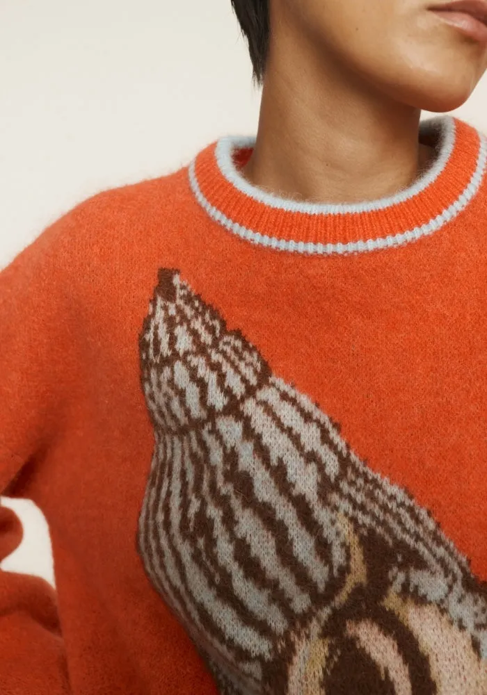 Sea Star Shell Knit Jumper