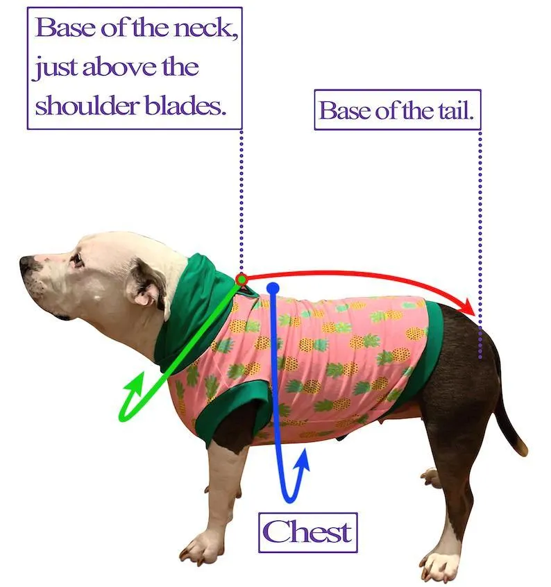 Therapy Dog Uniform Dress
